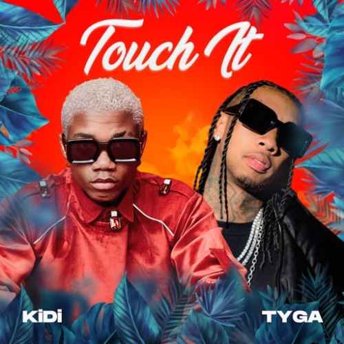 Kidi and Tyga Touch It Remix
