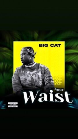 Big Cat – “Your waist”