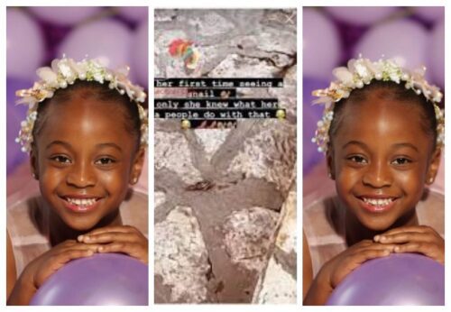 The Adorable Reaction of Davido's Daughter Hailey to Seeing